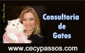 Cecy Passos
