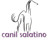 Centro Cinofilo Salatino
